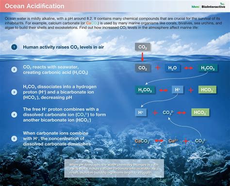 Ocean Acidification