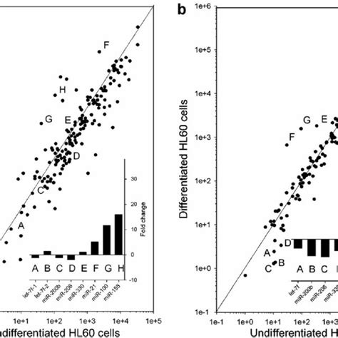 Expression Profiling Of Precursor And Mature Mirna Following