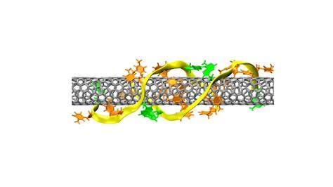 A Figure Showing The Molecular Structure Of A Dna Wrapped Carbon Nanotube