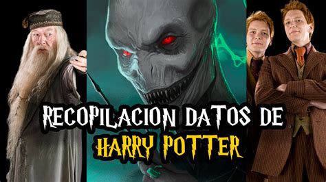 Recopilaci N De Curiosidades De Harry Potter Youtube