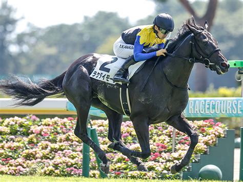 【2歳未勝利新潟1rレース後コメント】ラケダイモーン川田将雅騎手ら 競馬ニュース Netkeiba