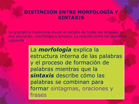 Ppt La MorfologÍa Powerpoint Presentation Free Download Id 1859401