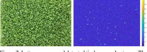 Figure 2 From Tip Burn Stress Detection Of Lettuce Canopy Grown In