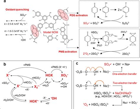 Persulfate Based Advanced Oxidation Critical Assessment Of Opportunities And Roadblocks