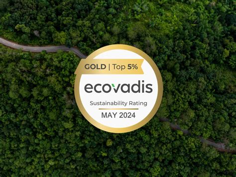 Dgs Receives The Gold Medal From Ecovadis For Sustainability Dgs