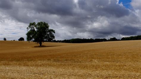 Free Images Landscape Nature Grass Horizon Cloud Sky Road