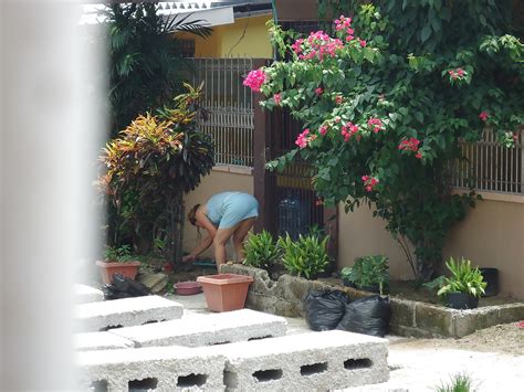 Vecina Exibicionista Porn Pictures XXX Photos Sex Images PICTOA