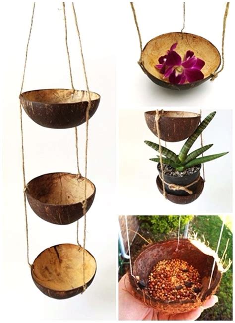 Outstanding Coconut Shell Plant Hanger Living Wall Planter Diy