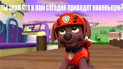 Любовь с первого взгляда щенячий патруль комикс - YouTube