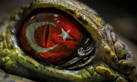 eyes, Turkey HD Wallpapers / Desktop and Mobile Images & Photos