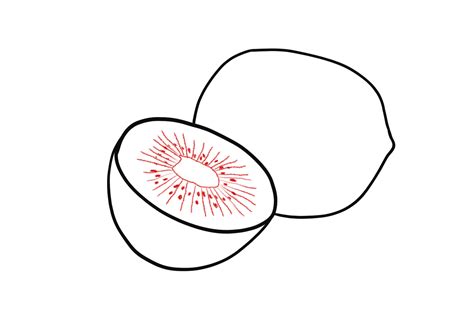 How To Draw A Kiwi Fruit Design School