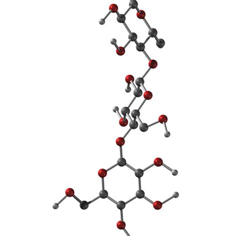 Cellulose Structure 3d