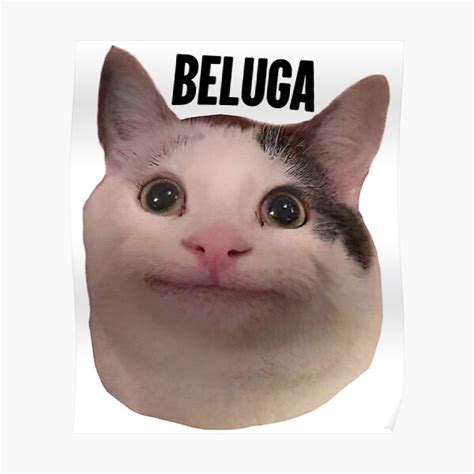 Póster gato beluga discordia pfp de ThekidsplaceS99 Redbubble