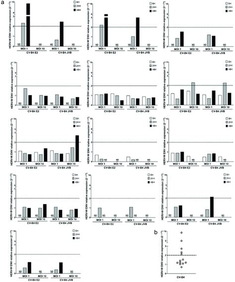 Individual representation of Human Endogenous Retrovirus W Envelope ...