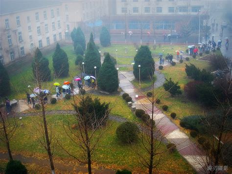 崇山校区——雨中校园 辽宁大学马克思主义学院