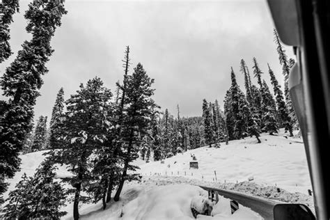 Gulmarg Images – Browse 1,621 Stock Photos, Vectors, and Video | Adobe ...