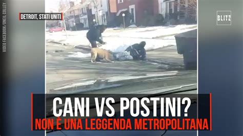 Cani Vs Postini Non Solo Una Leggenda Metropolitana Youtube