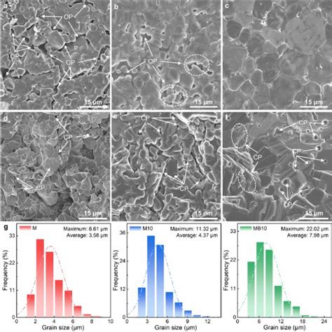 Sem Images Of Surfaces A C And Fracture Surfaces D F Of Samples M