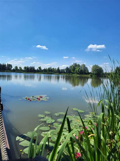 Galeria łowisko Restauracja Łowisko w Piorunowie