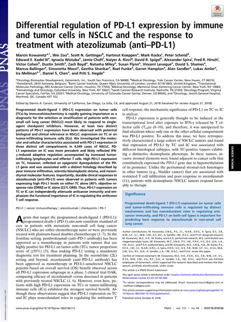 Differential Regulation Of Pd L1 Expression By Immune And Tumor Cells