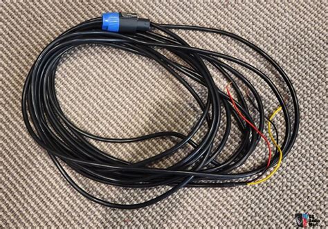 REL Subwoofer Cable 30 Feet Photo #4673734 - US Audio Mart