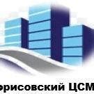 РУП "Борисовский ЦСМС" | Borisov