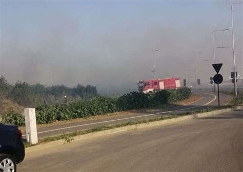 Incendiu de vegetație în zona Mall ului din Municipiul Târgoviște