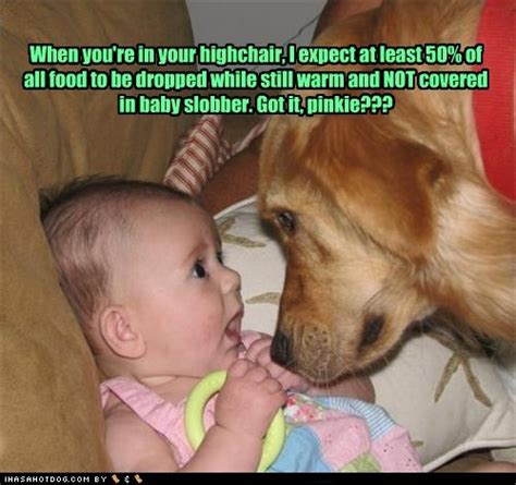 Dog quotes funny ~ Funny images and Jokes