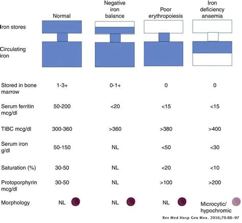 Iron Deficiency Anaemia Revista Médica Del Hospital General De México