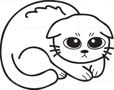 Hand Drawn Scared Or Sad Cat Illustration In Doodle Style Png