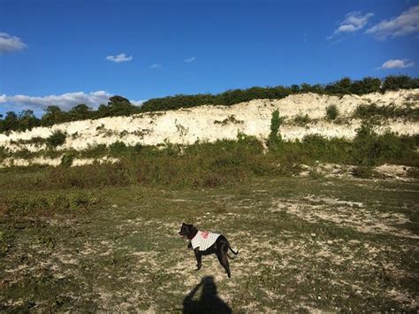 Cherry Hinton Chalk Pits Cambridge 2020 All You Need To Know Before