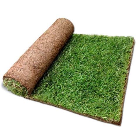 Turf Near Me | Fast Next Day UK Delivery - Orders Before 12pm