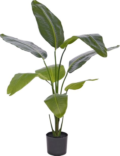 Strelitzia Nicolai Kunstplant 120cm Bol