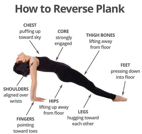 Reverse Planks That Help Strengthen The Core And Lower Body Voltrx®