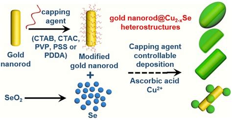 Rationally Designed Dual Plasmonic Gold Nanorod Cuprous Selenide Hybrid Heterostructures By