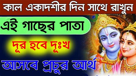 কাল পার্শ্ব একাদশীর দিন সাথে রাখুন এই গাছের পাতা দূর হবে দুঃখ আসবে