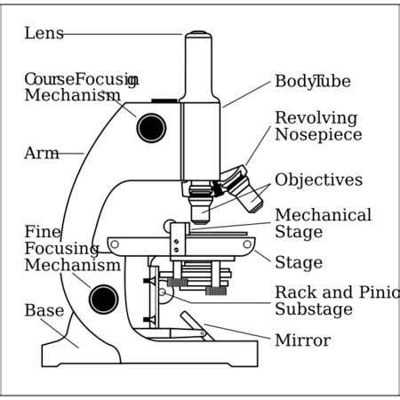 Diagram Of Parts Of A Microscope Diagram Leica Compound Mi