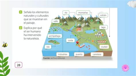 Elementos Del Paisaje Profesocial