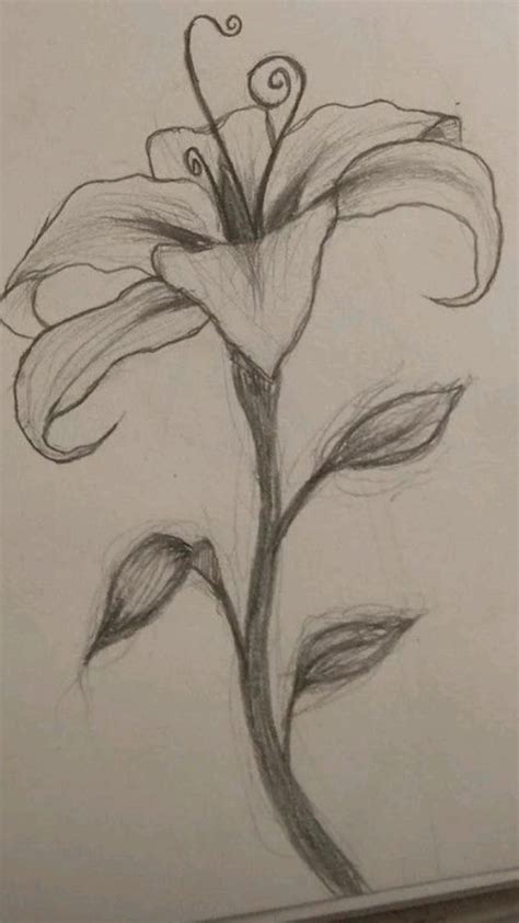 Flor Queda Fulgor In 2023 Book Art Drawings Art Drawings Sketches