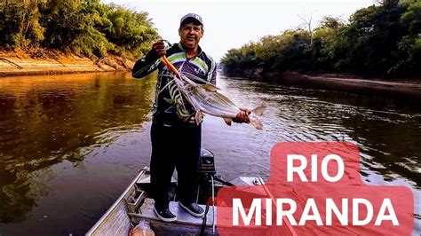 SENSASSIONAL ESSE LUGAR É MARAVILHOSO PESCANDO NO RIO MIRANDA 3 DIA