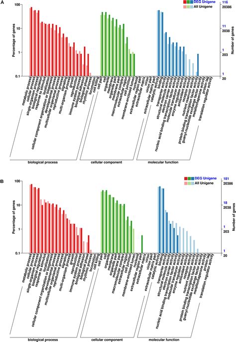 Frontiers Integrated Analysis Of Long Non Coding RNAs LncRNAs And