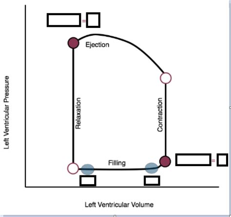 Heart Sounds Diagram | Quizlet