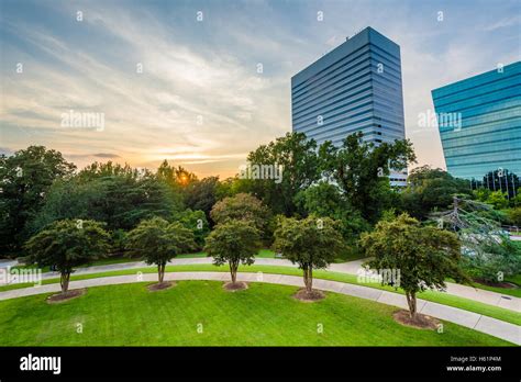 trees  modern buildings  columbia south carolina stock photo alamy