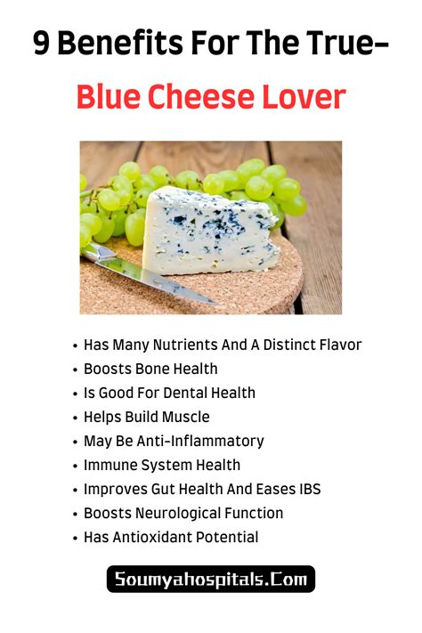 Is Blue Cheese Good For You 9 Benefits For The True Blue Cheese Lover