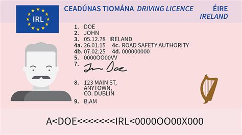 How To Renew Driver S License Vida Lavena