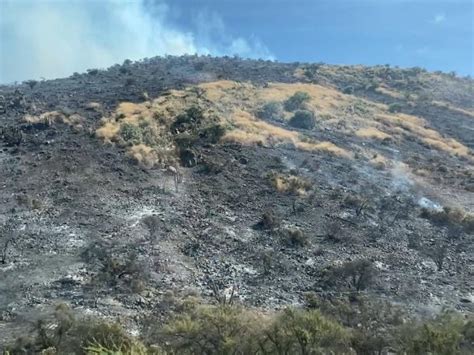 Preocupaci N Por Intencionalidad En Incendios Forestales Horas