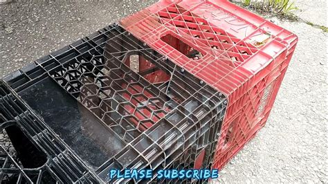 Trap Making for a Feral Cat - YouTube