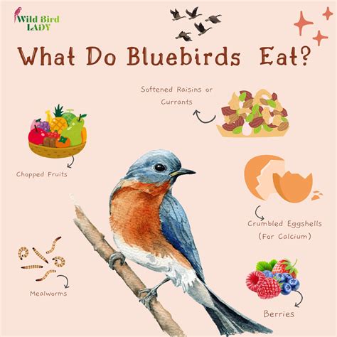 What Do Crows Eat? You’ll Be Surprised by Their Clever Diet Choices!