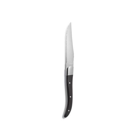 Shop Online For Acr Black Steak Knife HQ In Dubai Abu Dhabi And All