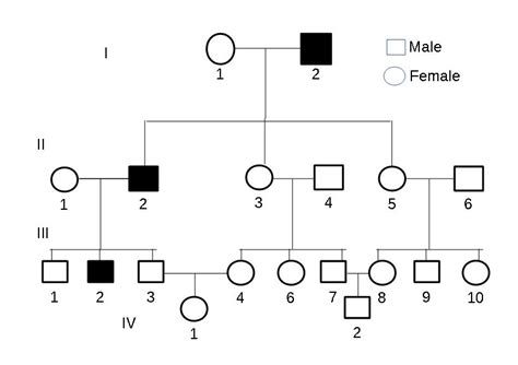 Recessive Gene